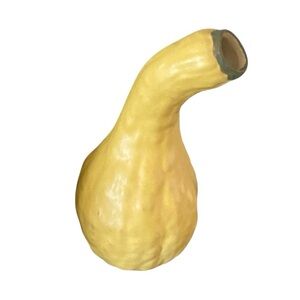 Vintage Patricia Garrett Great Impressions studio art pottery Summer squash vase